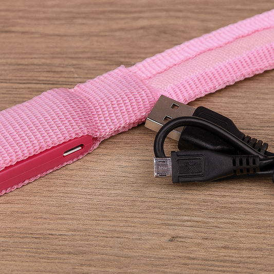 GlowGuard LED-Halsband