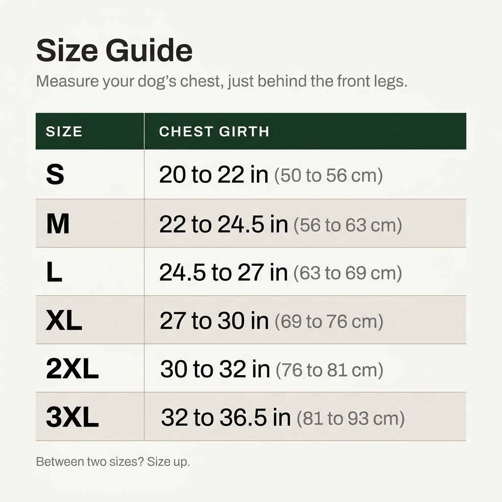 Full-Coverage Winter Dog Coat