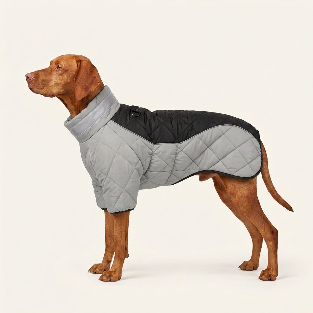 Full-Coverage Winter Dog Coat