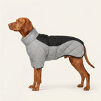Full-Coverage Winter Dog Coat