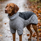 Full-Coverage Winter Dog Coat