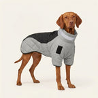 Full-Coverage Winter Dog Coat