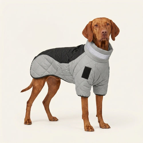 Full-Coverage Winter Dog Coat