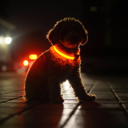 GlowGuard LED-Halsband