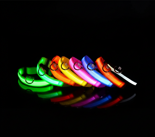GlowGuard LED-Halsband