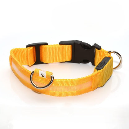 GlowGuard LED-Halsband