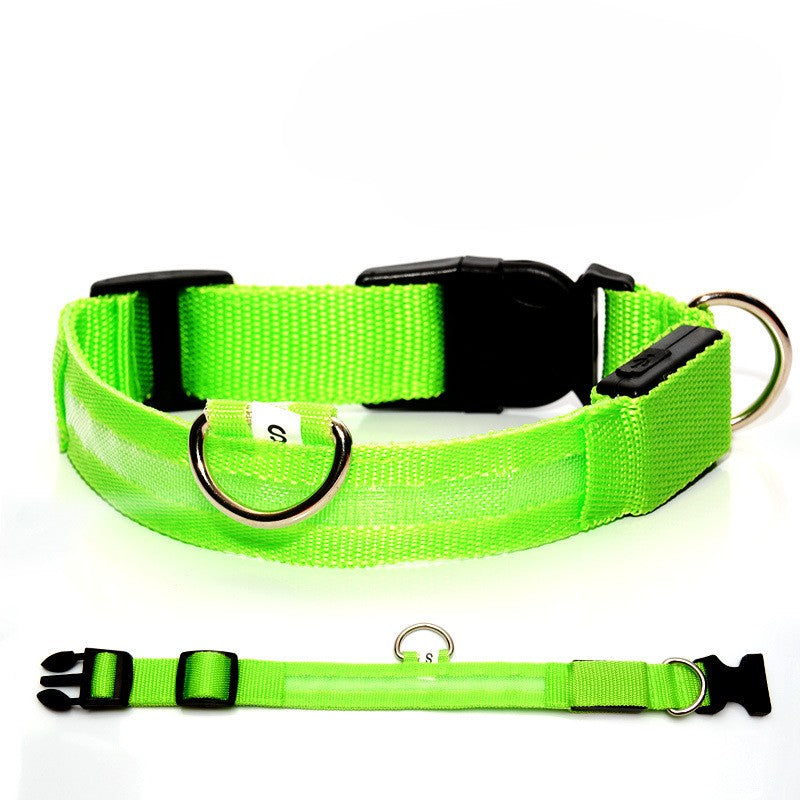 GlowGuard LED-Halsband