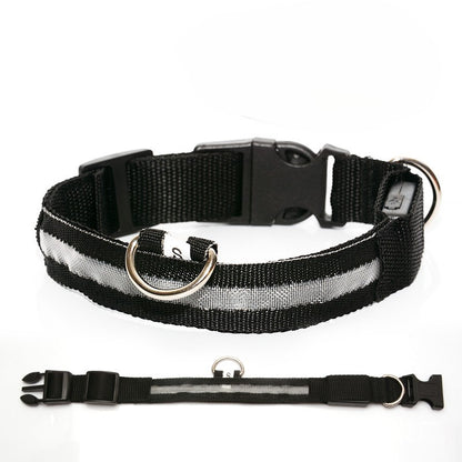 GlowGuard LED-Halsband